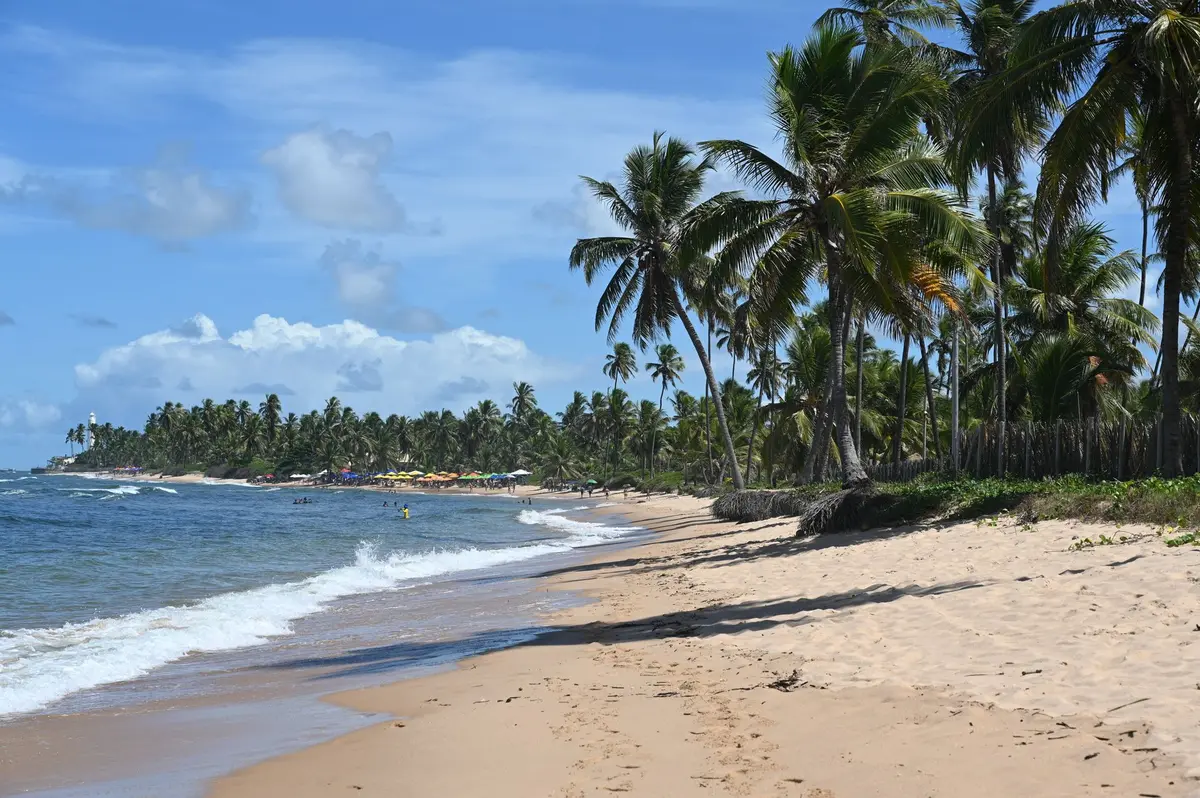 Areia clara e coqueiros em Praia do Forte